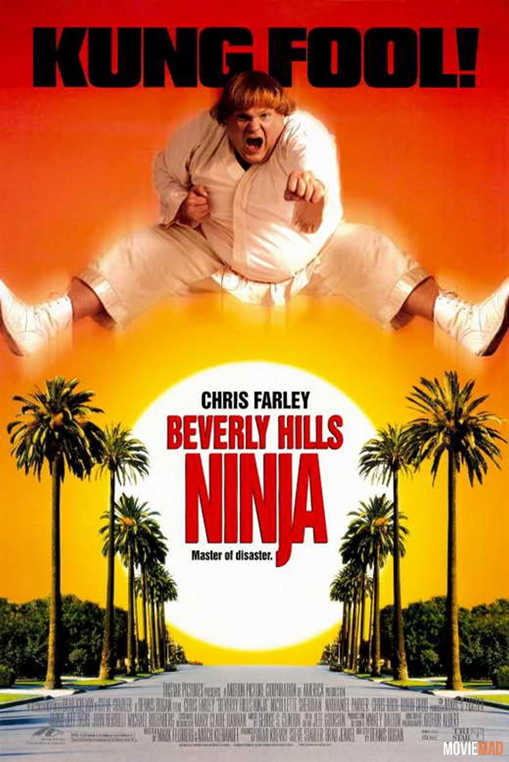 full moviesBeverly Hills Ninja (1997) Hindi Dubbed ORG HDRip Full Movie 720p 480p