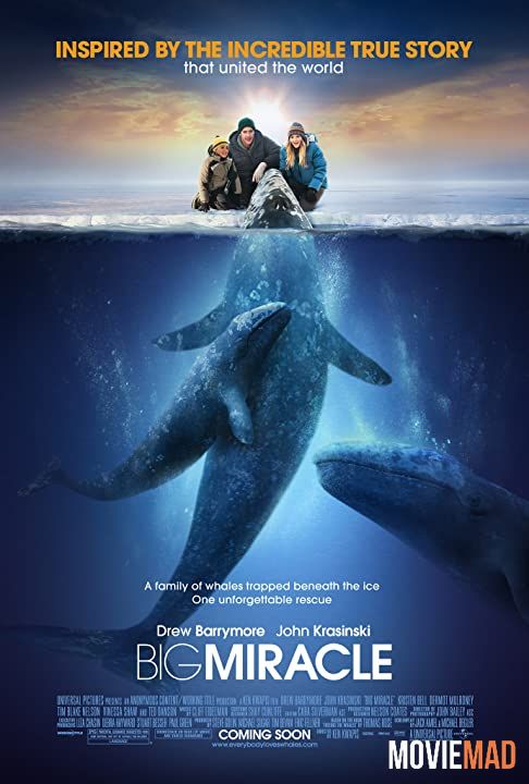 full moviesBig Miracle (2012) Hindi Dubbed ORG BluRay Full Movie 720p 480p