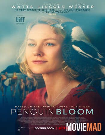 full moviesPenguin Bloom 2020 English WEB DL Full Movie 720p 480p