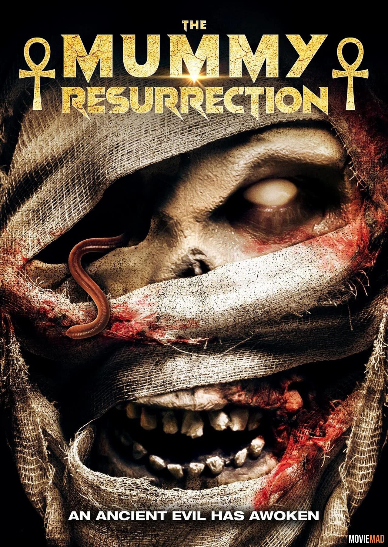full moviesThe Mummy Resurrection 2022 (Voice Over) Dubbed WEBRip Full Movie 720p 480p
